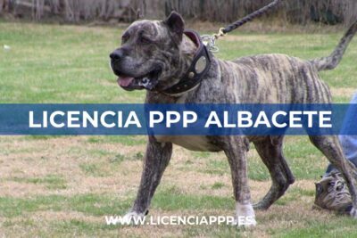 Licencia PPP Albacete