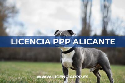 Licencia PPP en Alicante