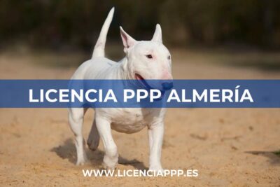 Licencia PPP en Almería