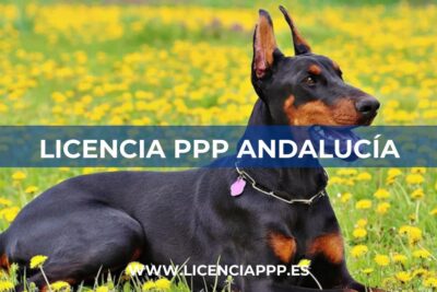 Licencia PPP Andalucía