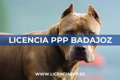 Licencia PPP Badajoz