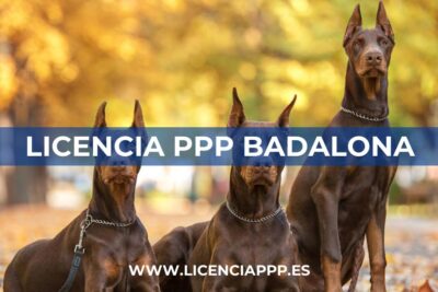 Licencia PPP en Badalona