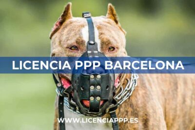 Licencia PPP en Barcelona