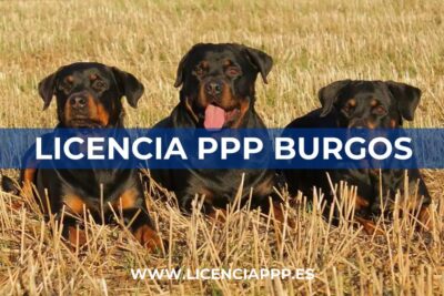 Licencia PPP en Burgos