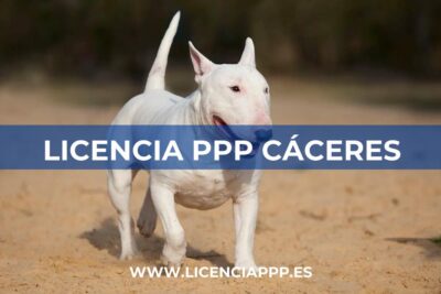 Licencia PPP Cáceres