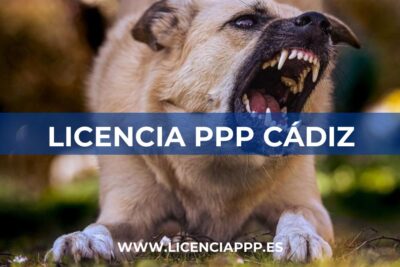 Licencia PPP en Cádiz