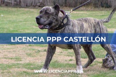 Licencia PPP en Castellón