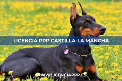 Licencia PPP Castilla-La Mancha
