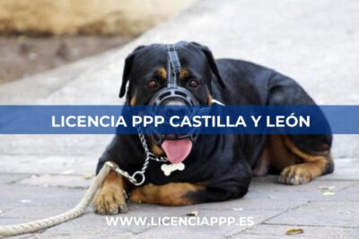 Licencia PPP Castilla y León