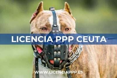 Licencia PPP Ceuta