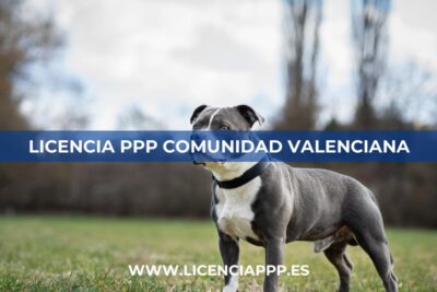 Licencia PPP Comunidad Valenciana