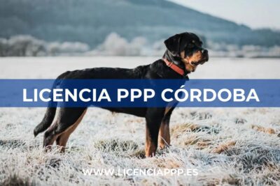 Licencia PPP en Córdoba