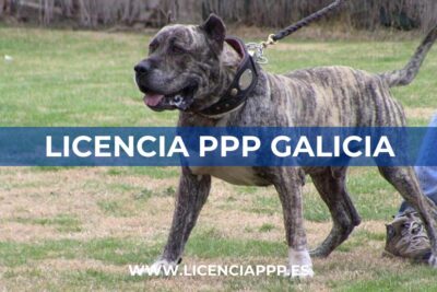 Licencia PPP Galicia