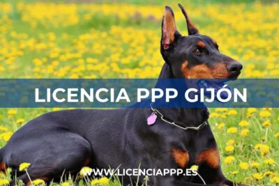 Licencia PPP Gijón (Asturias)