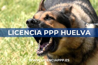 Licencia PPP en Huelva