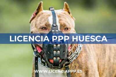 Licencia PPP Huesca