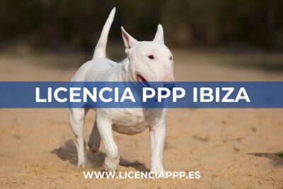 Licencia PPP Ibiza (Islas Baleares)