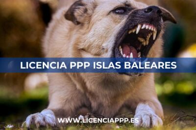 Licencia PPP Islas Baleares