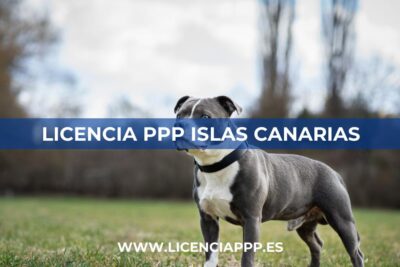Licencia PPP Islas Canarias