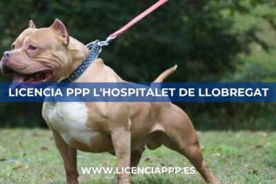 Licencia PPP en L'Hospitalet de Llobregat