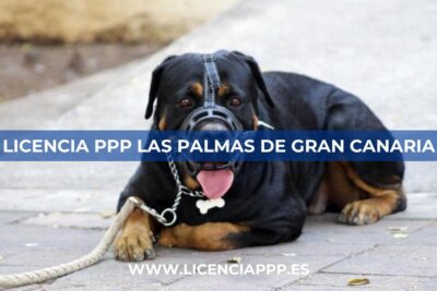Licencia PPP Las Palmas de Gran Canaria