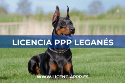 Licencia PPP en Leganés
