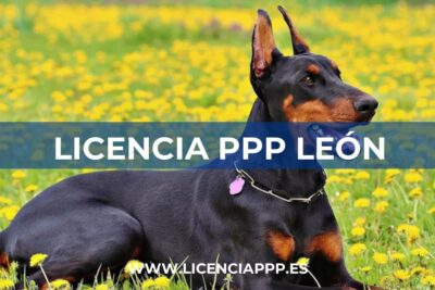 Licencia PPP en León