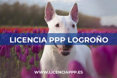 Licencia PPP Logroño (La Rioja)