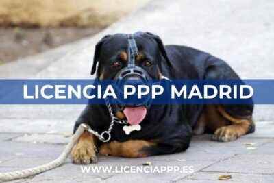 Licencia PPP en Madrid