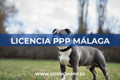 Licencia PPP en Málaga