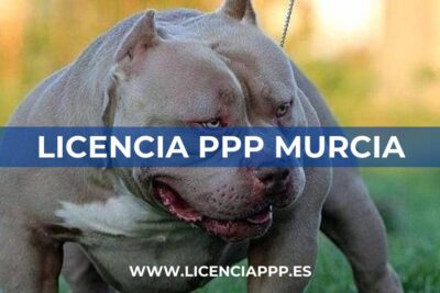 Licencia PPP Murcia