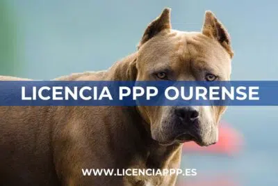 Licencia PPP Ourense