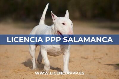 Licencia PPP en Salamanca