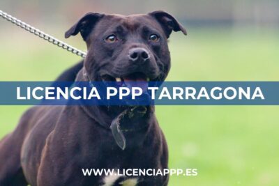 Licencia PPP en Tarragona