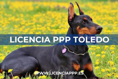 Licencia PPP Toledo