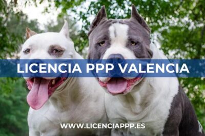 Licencia PPP en Valencia