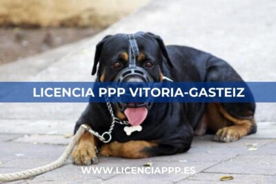 Licencia PPP Vitoria-Gasteiz (Álava)