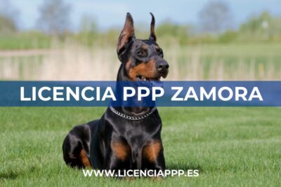 Licencia PPP Zamora