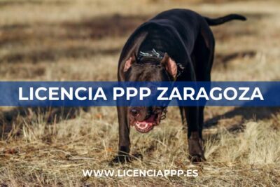 Licencia PPP Zaragoza